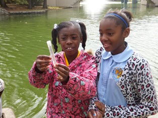 Students observe water at Armstrong Park.